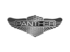 Panther Panther
