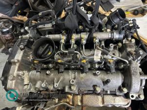 Begagnade Vevstake Jeep Wrangler (JL) Pris på förfrågan erbjuds av "Altijd Raak" Penders