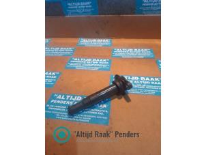 Gebruikte Pen Bobine Hyundai Santa Fe II (CM) Prijs op aanvraag aangeboden door "Altijd Raak" Penders