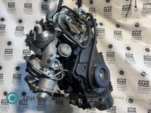 Gebruikte Cilinderkop Audi A4 (B8) 2.0 TFSI 16V Prijs op aanvraag aangeboden door "Altijd Raak" Penders