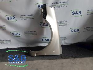 Gebruikte Scherm links-voor Skoda Superb Prijs € 70,00 Margeregeling aangeboden door Schaap & Bron