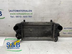 Begagnade Laddluftkylare Audi A2 (8Z0) 1.4 TDI Pris € 60,00 Marginaltabell erbjuds av Schaap & Bron