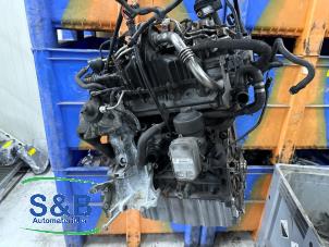 Gebruikte Motor Volkswagen Transporter T5 2.0 TDI DRF Prijs € 1.800,00 Margeregeling aangeboden door Schaap & Bron