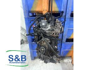 Gebruikte Motor Skoda Fabia II Combi 1.2 TDI 12V Greenline Prijs € 550,00 Margeregeling aangeboden door Schaap & Bron