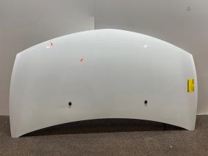 Gebruikte Motorkap Renault Clio III Estate/Grandtour (KR) 1.5 dCi FAP Prijs € 70,00 Margeregeling aangeboden door F. van den Mosselaar autodemontage