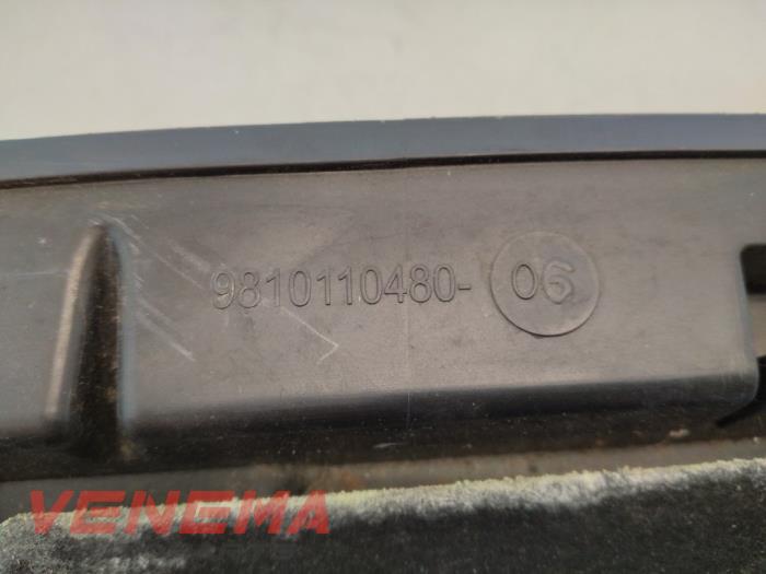 Paravent van een Peugeot 3008 II (M4/MC/MJ/MR) 1.6 BlueHDi 120 2018