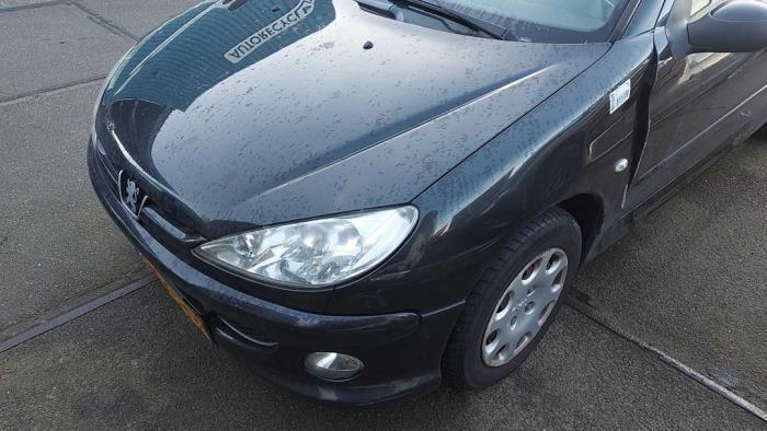 Motorkap van een Peugeot 206 (2A/C/H/J/S) 1.4 XR,XS,XT,Gentry 2007