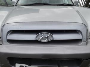 Używane Grill Hyundai Santafe Cena na żądanie oferowane przez N Kossen Autorecycling BV
