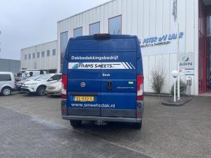 Begagnade Bakdörr, 4-dörrars, höger Fiat Ducato (250) 2.3 D 130 Multijet Pris € 544,50 Inklusive moms erbjuds av Autodemontage van de Laar