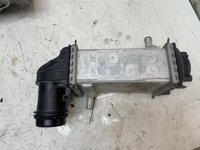Laddluftkylare från en Volkswagen Polo VI (AW1) 1.0 TSI 12V 2021