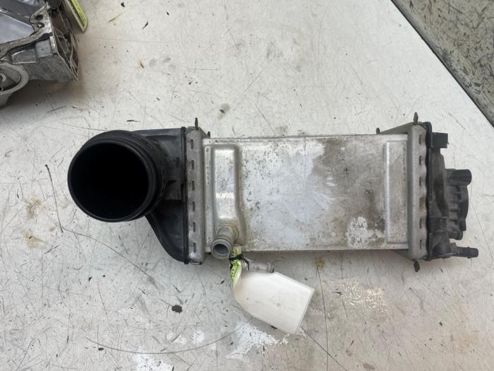 Laddluftkylare från en Volkswagen Polo VI (AW1) 1.0 TSI 12V 2021