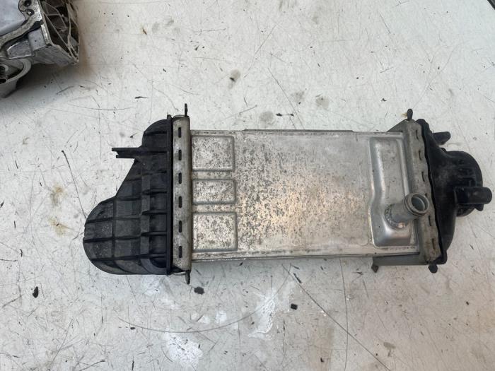 Laddluftkylare från en Volkswagen Polo VI (AW1) 1.0 TSI 12V 2021