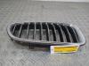 BMW 5 serie (F10) 518d 16V Grille