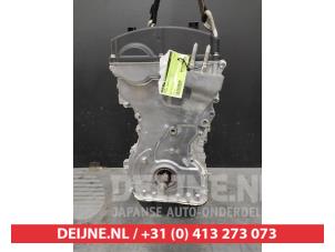 Zaleplon preis
