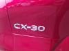 Mazda CX-30 (DM) 2.0 e-SkyActiv X 186 M Hybrid 16V Dator (diverse)