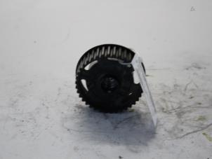 Gebruikte Nokkenas Tandwiel Renault Megane II (BM/CM) 1.6 16V Prijs op aanvraag aangeboden door Gebr Opdam B.V.