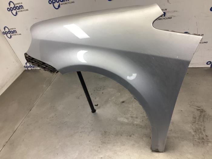 Framskärm, vänster från en Volkswagen Touran (1T1/T2) 1.9 TDI 105 Euro 3 2006