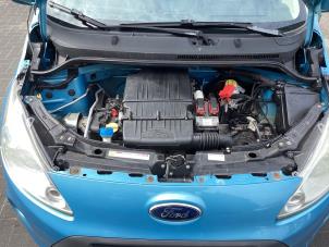Gebruikte Motor Ford Ka II 1.2 Prijs € 300,00 Margeregeling aangeboden door Gebr Opdam B.V.