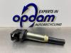 Bobine van een BMW 3 serie (F30) 320i 2.0 16V 2013