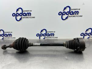 Używane Os napedowa lewy przód Volkswagen Jetta III (1K2) 1.6 FSI 16V Cena € 100,00 Procedura marży oferowane przez Gebr Opdam B.V.