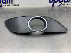 Begagnade Täcklock, dimljus, höger Mercedes B (W245) 2.0 B-200 16V Pris € 25,00 Marginaltabell erbjuds av Gebr Opdam B.V.