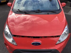 Używane Maska Ford Ka II 1.2 Cena € 100,00 Procedura marży oferowane przez Gebr Opdam B.V.