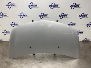 Gebruikte Motorkap Renault Clio III (BR/CR) 1.2 16V 75 Prijs € 75,00 Margeregeling aangeboden door Gebr Opdam B.V.