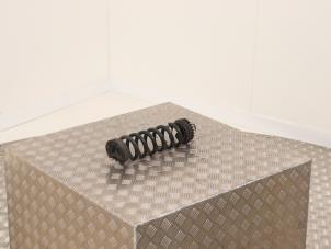 Begagnade Bakre spolfjäder BMW 3 serie Touring (G21) 320i 2.0 TwinPower Turbo 16V Pris € 49,00 Marginaltabell erbjuds av Automaterialen Ronald Morien B.V.