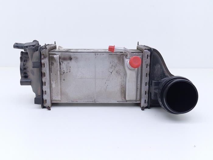 Laddluftkylare från en Volkswagen Golf VIII (CD1) 1.0 TSI 12V 2021