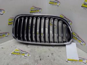 Używane Grill BMW B5 (F10) 4.4 V8 32V Bi-Turbo Cena € 26,25 Procedura marży oferowane przez Binckhorst BV
