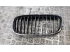 BMW 2 serie Active Tourer (F45) 218i 1.5 TwinPower Turbo 12V Grill