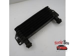 Begagnade Laddluftkylare Ford Usa E-Serie 4.9 E250 Kat. Pris på förfrågan erbjuds av Rooie Ben autodemontage