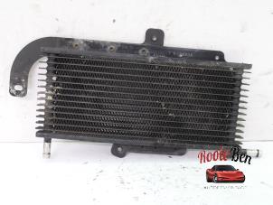 Begagnade Oljekylare Jeep Grand Cherokee (WG/WJ) 5.2i V8 Pris på förfrågan erbjuds av Rooie Ben autodemontage