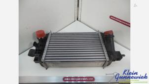 Begagnade Laddluftkylare Opel Meriva Pris € 55,00 Marginaltabell erbjuds av Klein Gunnewiek Autodemontage & Motorentechniek