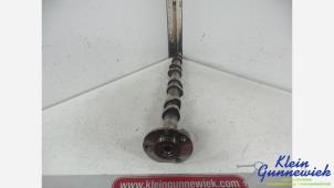 Używane Walek rozrzadu Ford Transit Cena € 80,00 Procedura marży oferowane przez Klein Gunnewiek Autodemontage & Motorentechniek