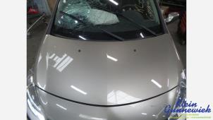 Gebruikte Motorkap Renault Clio Prijs € 40,00 Margeregeling aangeboden door Klein Gunnewiek Autodemontage & Motorentechniek