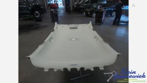 Gebruikte Hemelbekleding Volkswagen Golf Prijs € 95,00 Margeregeling aangeboden door Klein Gunnewiek Autodemontage & Motorentechniek