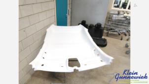 Begagnade Inre takklädsel Opel Corsa Pris € 115,00 Marginaltabell erbjuds av Klein Gunnewiek Autodemontage & Motorentechniek