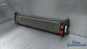 Gebruikte Radiateur Volkswagen E-Golf Prijs € 35,00 Margeregeling aangeboden door Klein Gunnewiek Autodemontage & Motorentechniek