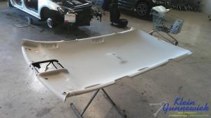 Gebruikte Hemelbekleding Volkswagen Golf Prijs € 195,00 Margeregeling aangeboden door Klein Gunnewiek Autodemontage & Motorentechniek