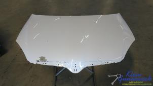 Gebruikte Motorkap Skoda Fabia Prijs € 125,00 Margeregeling aangeboden door Klein Gunnewiek Autodemontage & Motorentechniek