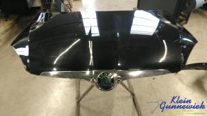 Gebruikte Motorkap Skoda Fabia Prijs € 195,00 Margeregeling aangeboden door Klein Gunnewiek Autodemontage & Motorentechniek