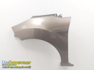 Gebruikte Scherm links-voor Ford Fiesta 6 (JA8) 1.25 16V Prijs € 49,99 Margeregeling aangeboden door Autodemontagebedrijf De Ooyevaar