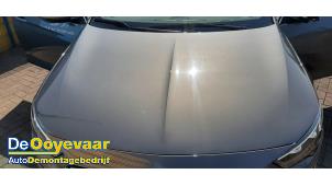Gebruikte Motorkap Opel Insignia Sports Tourer 1.5 Turbo 16V 165 Prijs € 899,99 Margeregeling aangeboden door Autodemontagebedrijf De Ooyevaar