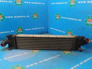 Gebruikte Intercooler Ford Focus 2 C+C Prijs € 47,25 Margeregeling aangeboden door Maresia Auto Recycling B.V.