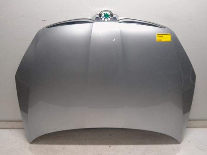 Maska z Skoda Fabia II Combi 1.2i 2011