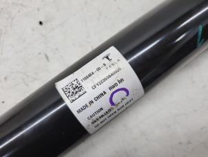 Gebruikte Schokdemper rechts-achter Tesla Model Y (5YJY) RWD Prijs € 75,00 Margeregeling aangeboden door Autorec. Gebr. Prins b.v.