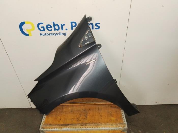 Framskärm, vänster från en Renault Zoé (AG) R90 2021