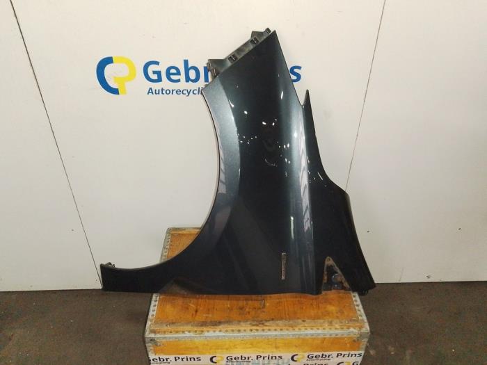 Framskärm, vänster från en Renault Zoé (AG) R90 2021