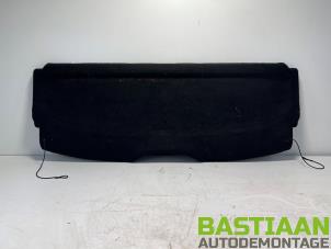 Używane Pólka tylna Peugeot 206+ (2L/M) 1.4 XS Cena € 29,99 Procedura marży oferowane przez Bastiaan Autodemontage